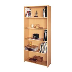 Bibliothek 1613 Buche